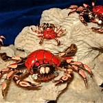 vintage 1940s nettie rosenstein crab fur clips and earrings