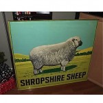 vintage unused in original box shropshire sheep sign z