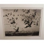 vintage 1918 frank benson pencil signed duck etching print