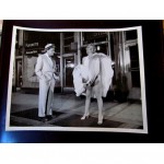 vintage 1954 marilyn monroe seven year itch original press photo z