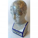 antique porcelain fowler phrenology bust