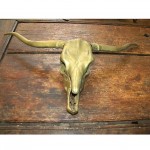 vintage brass longhorn steer skull wall sculpture z