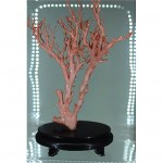 vintage angel skin coral branch z