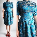 vintage 1950s embroidered dress