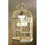 vintage bird cage pendant light