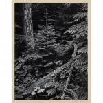 vintage 1949 signed ansel adams photograph