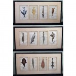 set of 18th century framed colored engravings