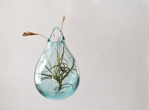 avolie glass hanging flower vase 2