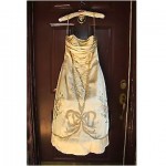 antique embroidered boned hoop skirt