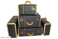 vintage hartmann luggage set