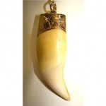 antique 19th century claw tooth pendant