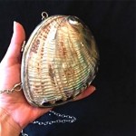 vintage abalone shell clutch handbag