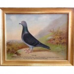 antique 19th century english racing pigeon oil painting