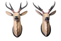 antique wooden deer heads