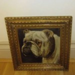 vintage 1925 bulldog portrait