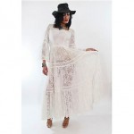 vintage 1970s sheer lace dress