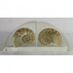 vintage pair lucite shell bookends