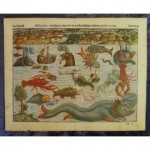 antique sebastian munster woodcut map