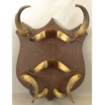 antique 19th century cattle horn coat hat rack