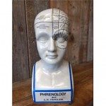 vintage porcelain phrenology head